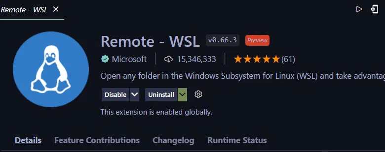 Remote - WSL